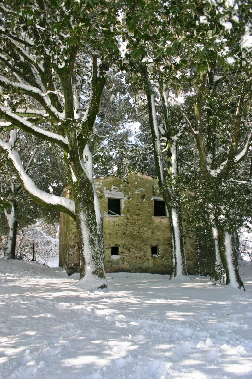 Rudere innevato