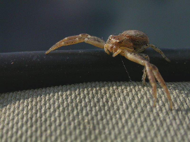 dopo aver ballato ci si riposa