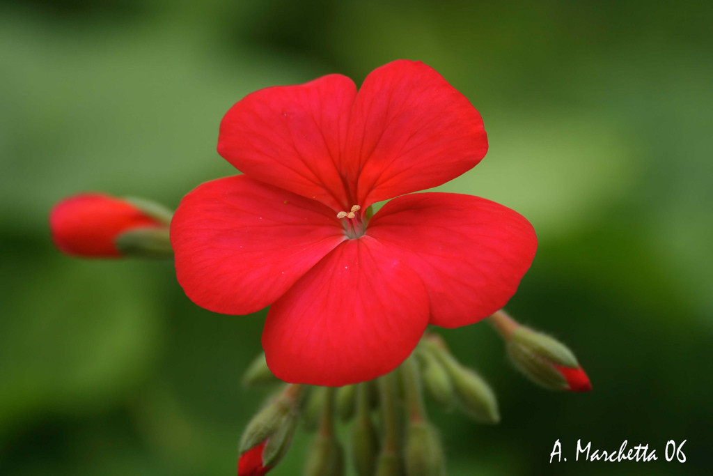 Aspettando giornate migliori........