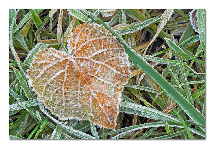 Nel cuore dell'inverno
