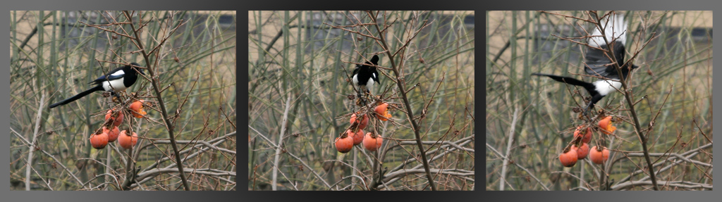 Appostamento in terrazza