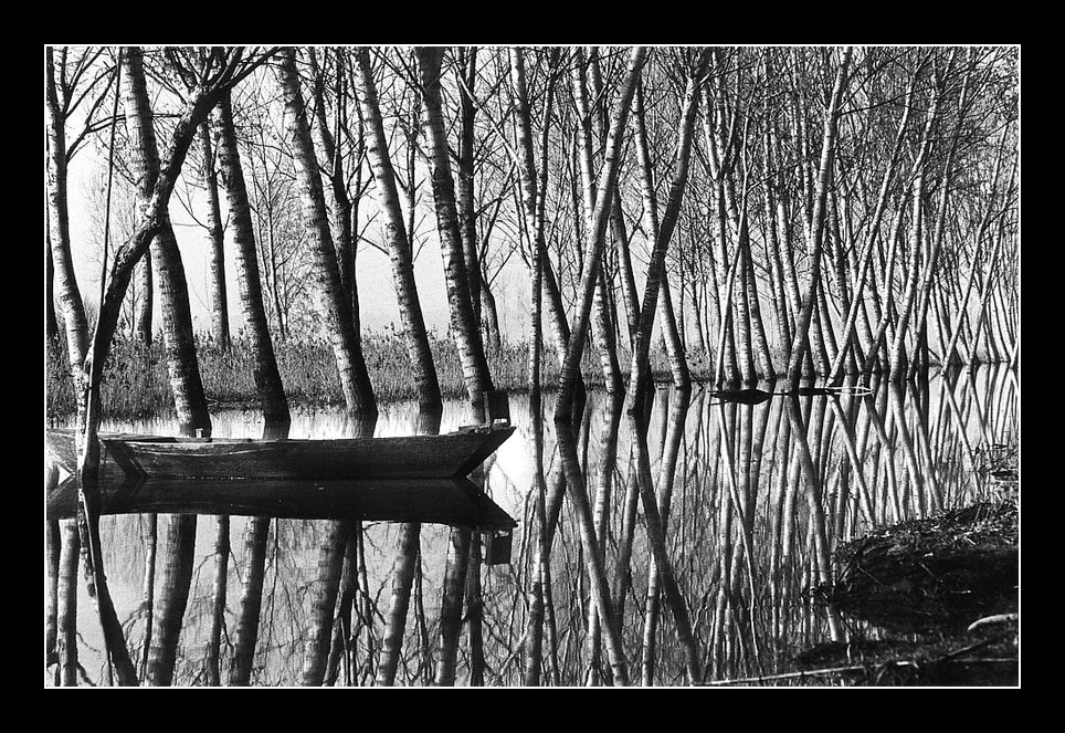 Padule di Fucecchio #1