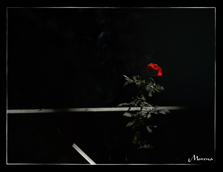 all alone whit my memory