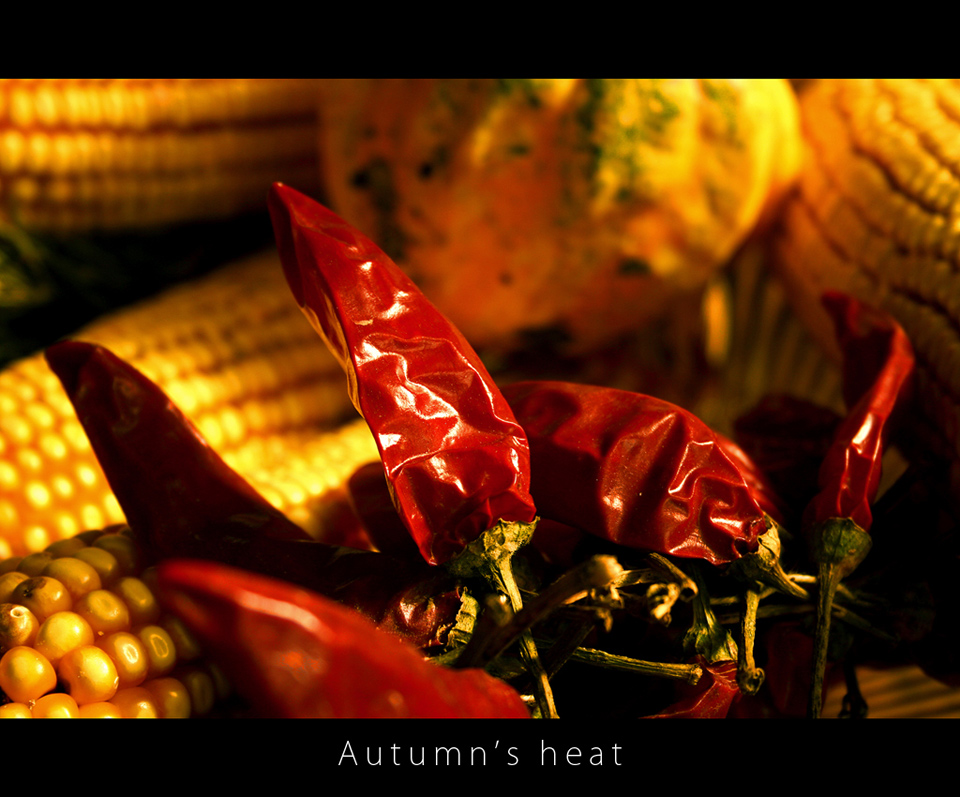 Autumn's heat | Calore autunnale