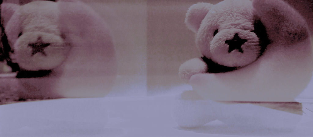 anima d'orsacchiotto