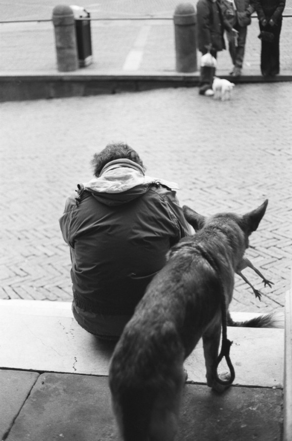 Waiting with my dog.