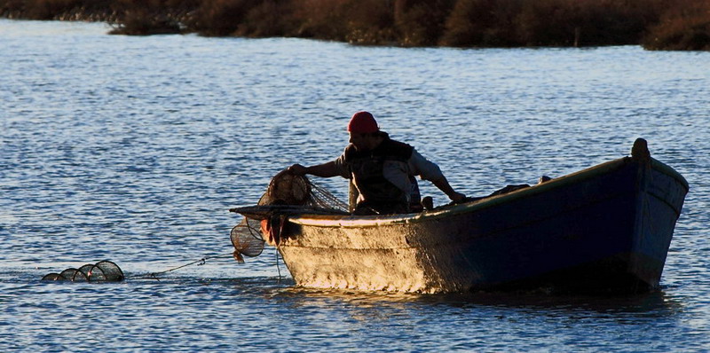 pescatore getta le tue reti...