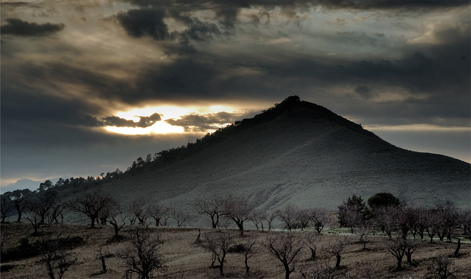 come il signore degli anelli
