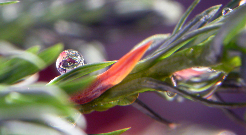 villaggio natalizio2