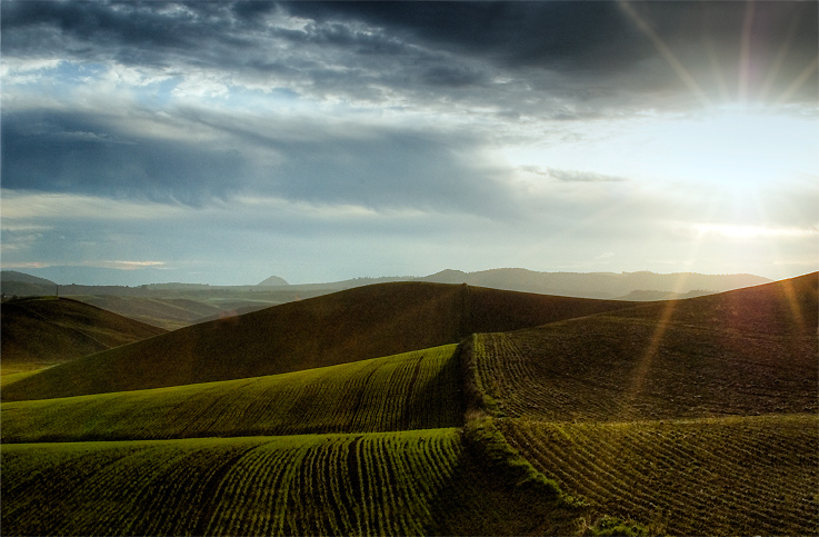 viaggio all'interno della campagna