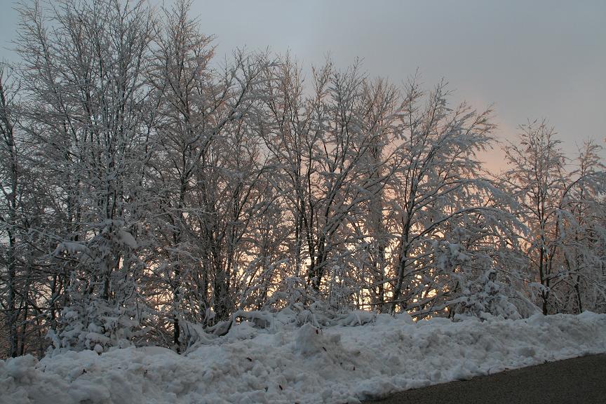 Che mondo sarebbe un Natale senza neve???