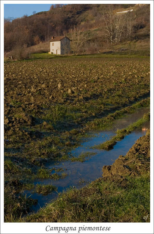 Campagna piemontese