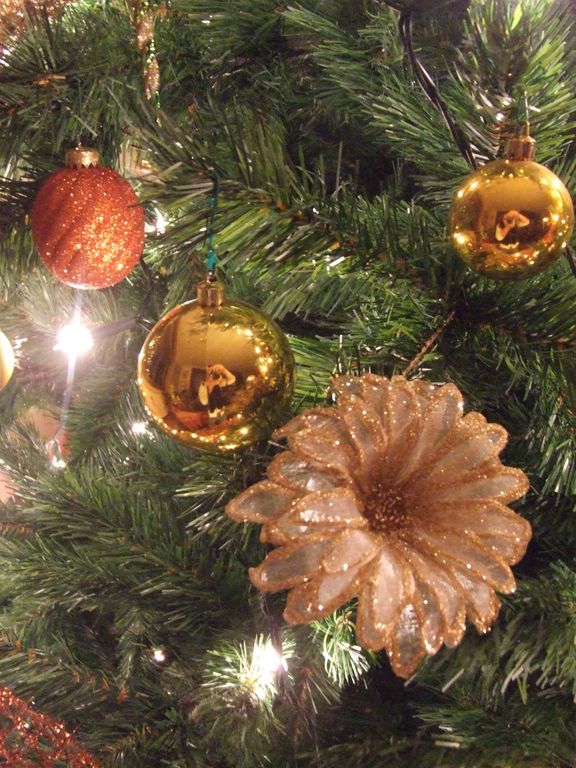 riflessa nella magia