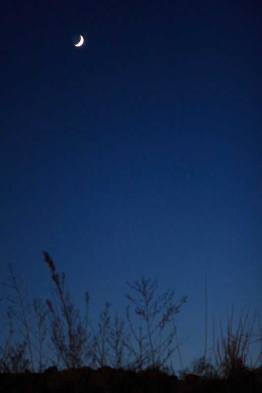 e la luna buss�...