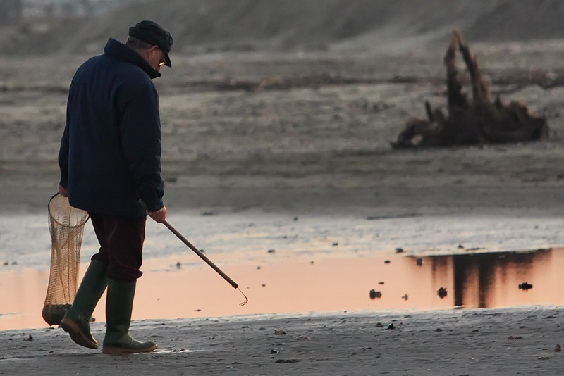 Alla ricerca dell'ultima...vongola