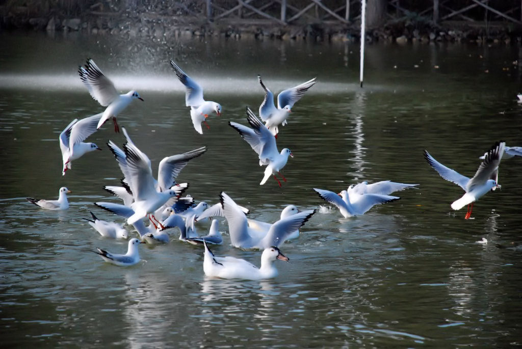 atterraggio morbido...