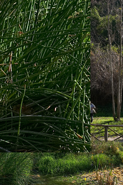 Crop angolo in basso a sinistra