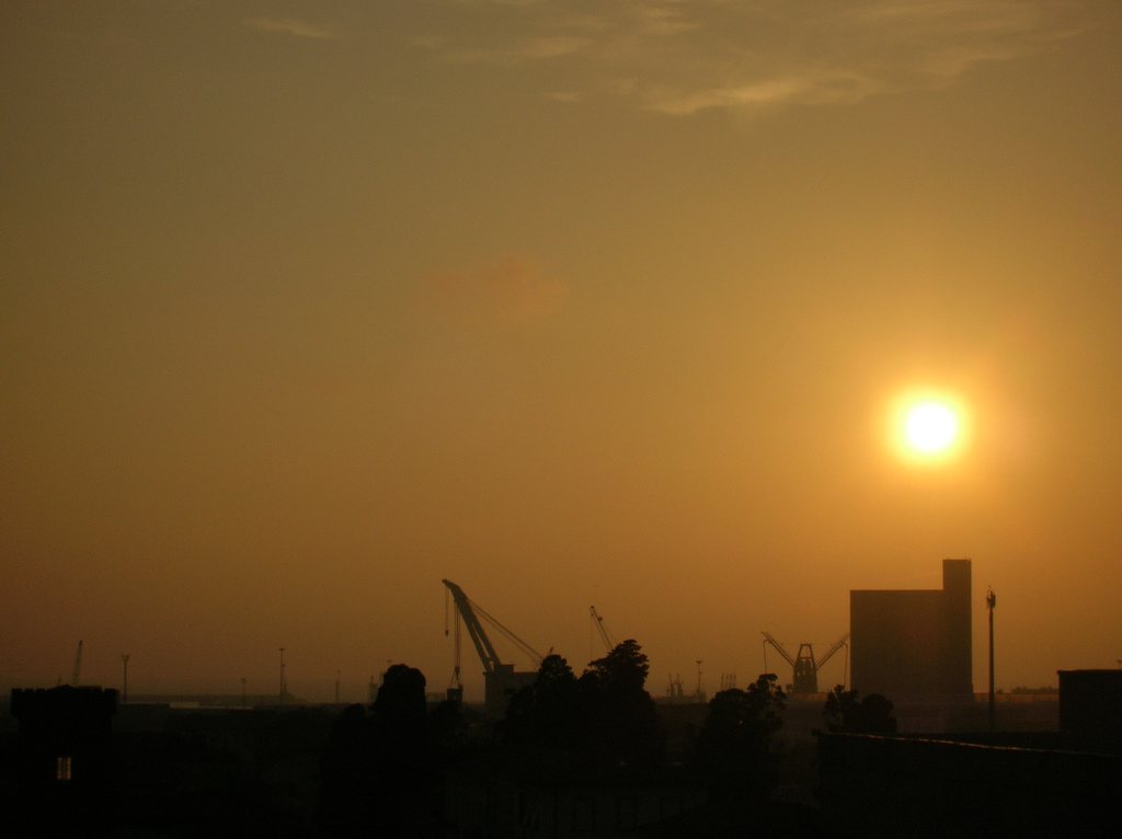 i languidi tramonti del volgo #4