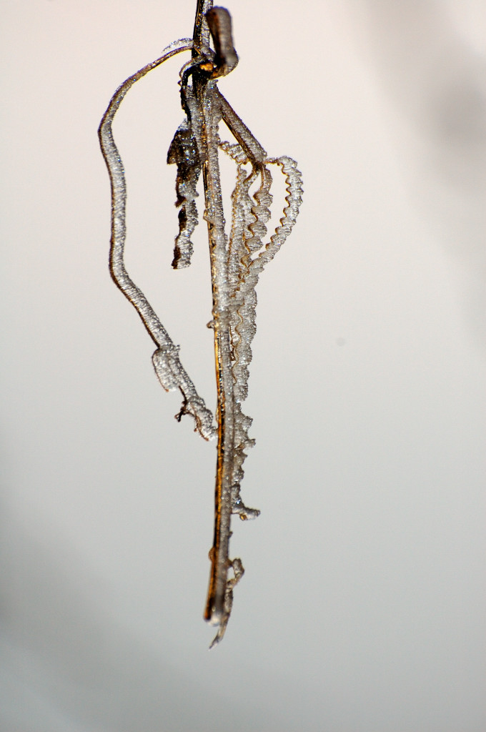 Gioielli di ghiaccio