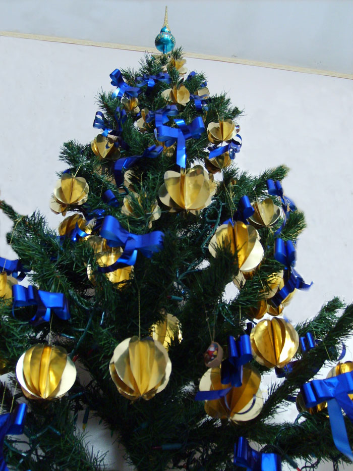 l'albero delle meraviglie