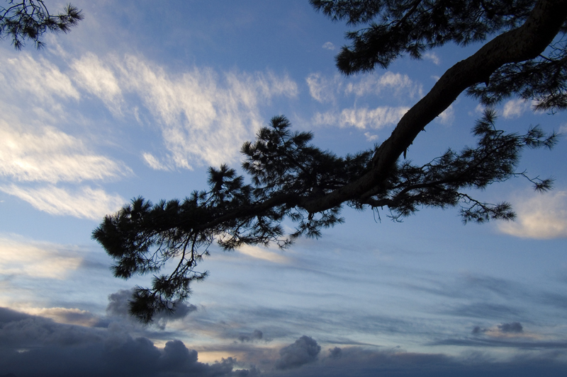 in balia degli elementi