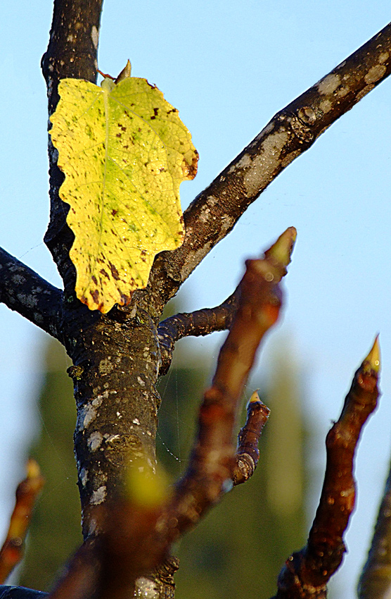 ricambio generazionale