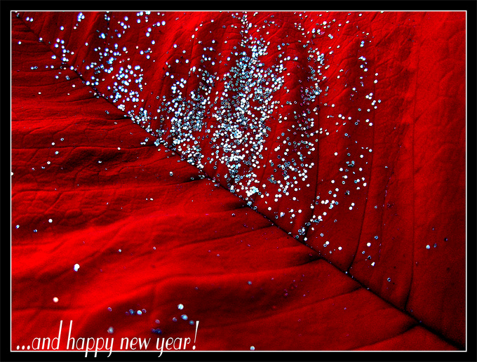 ...and happy new year!!!