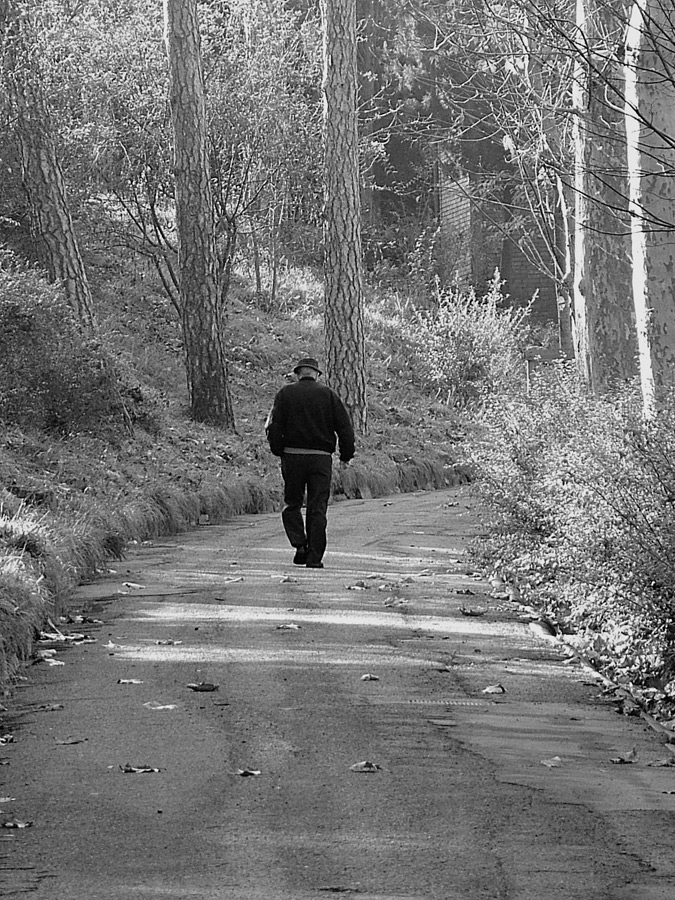 PAsseggiando in solitudine