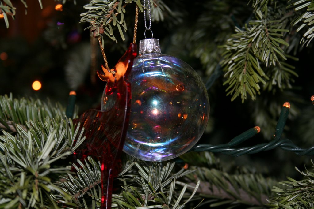 TANTI AUGURI DI BUON 2007 A TUTTI