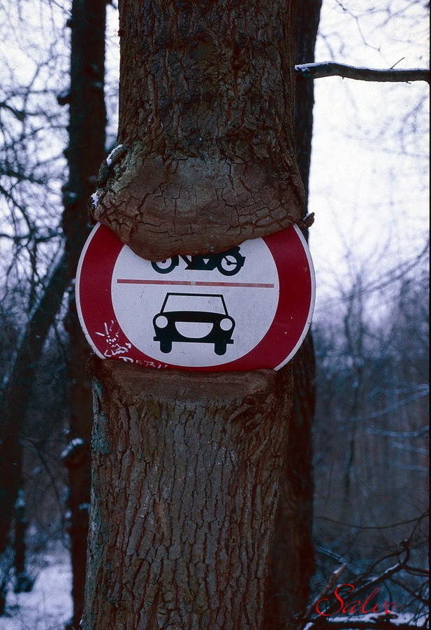 Divieto d'affissione