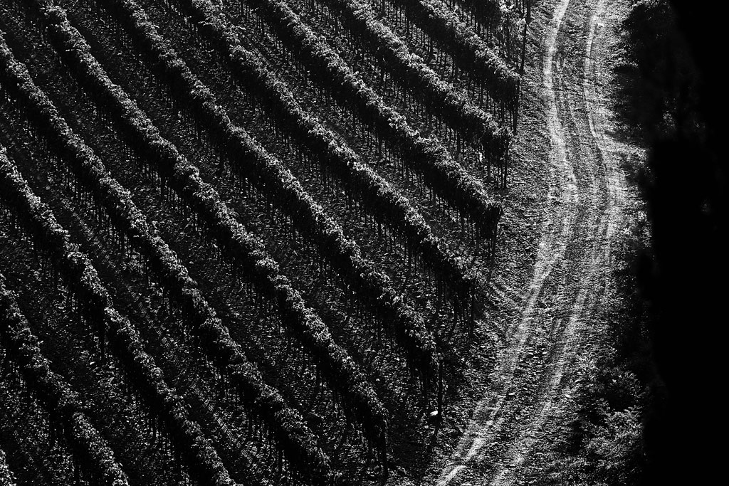 Paesaggio immaginario