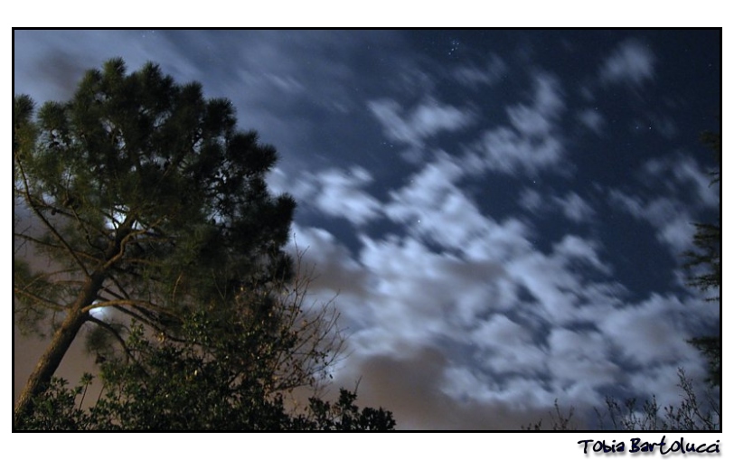 Scorcio notturno al chiaro di luna