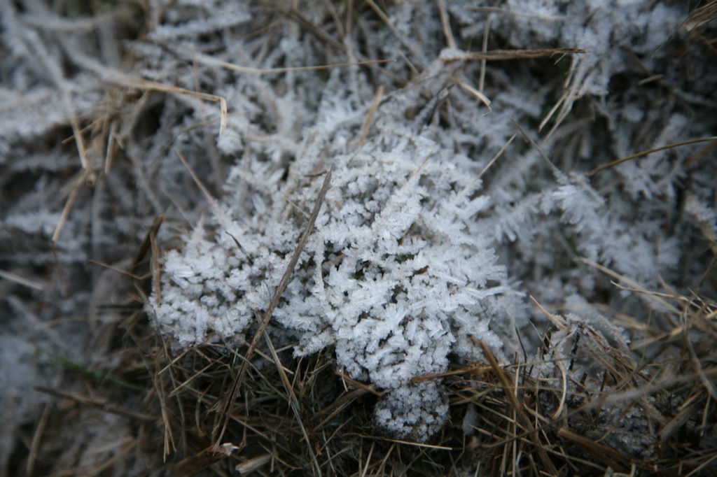 Quel poco inverno che ci rimane......