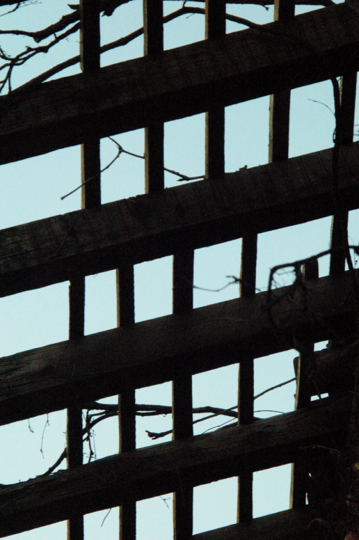 Apporre un segno nell'apposita casella