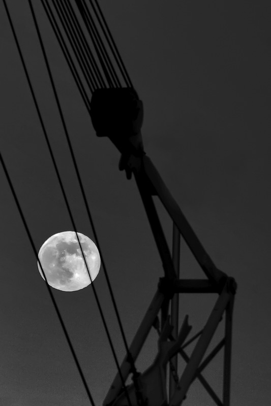 La luna nella gru