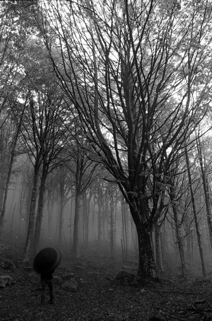 Il gigante e la bambina.......