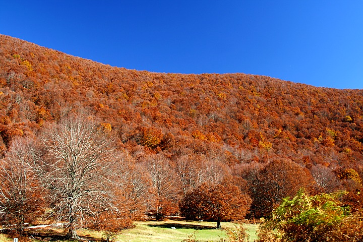 montevergine 26 ottobre 2006