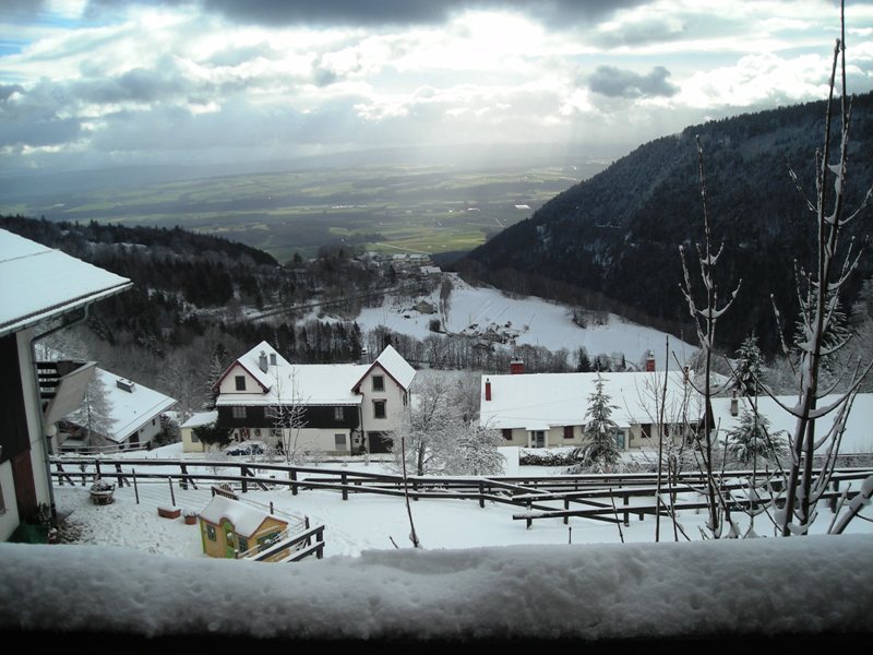 ...dalla montagna...alla valle...