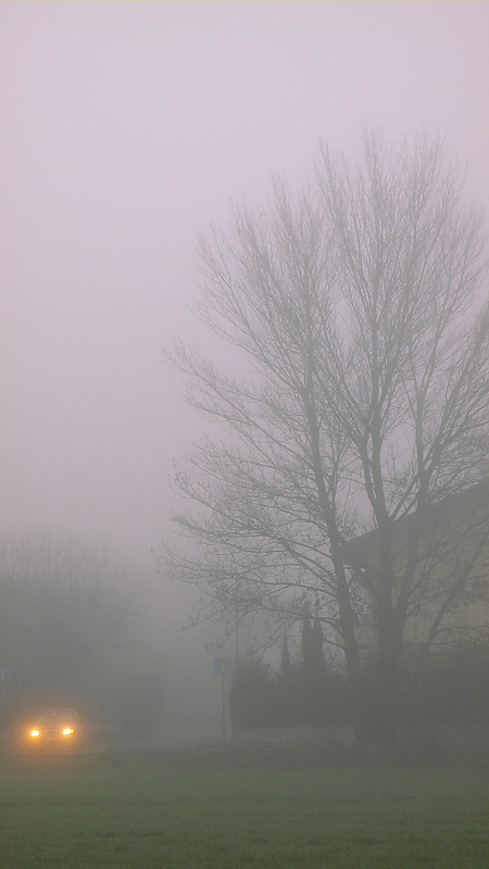Nella nebbia