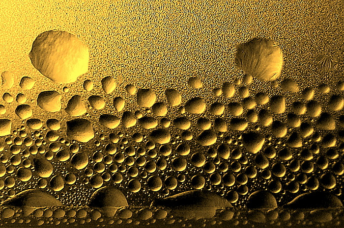 I cerchi di Saturno...(particolare)