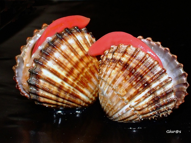 Vogliamo stare vicine vicine...