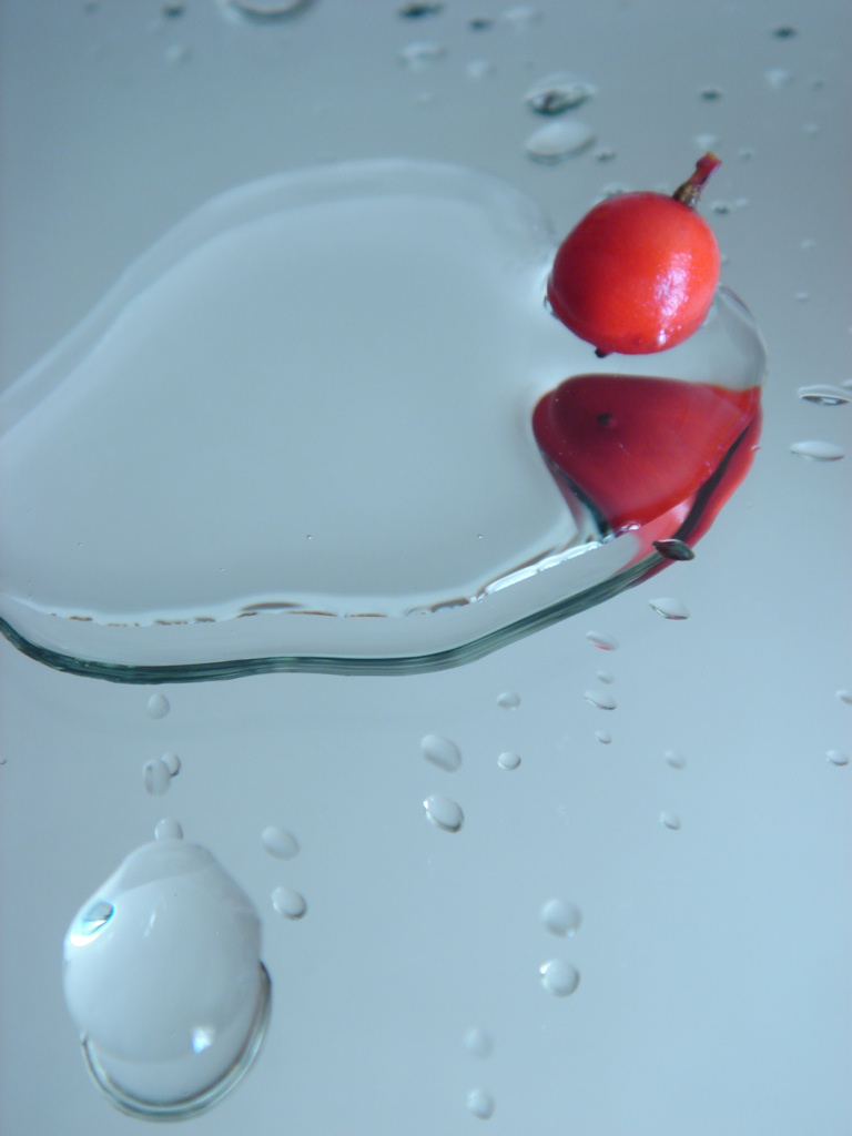 Da una goccia, la vita