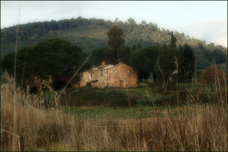 Vecchio podere in maremma