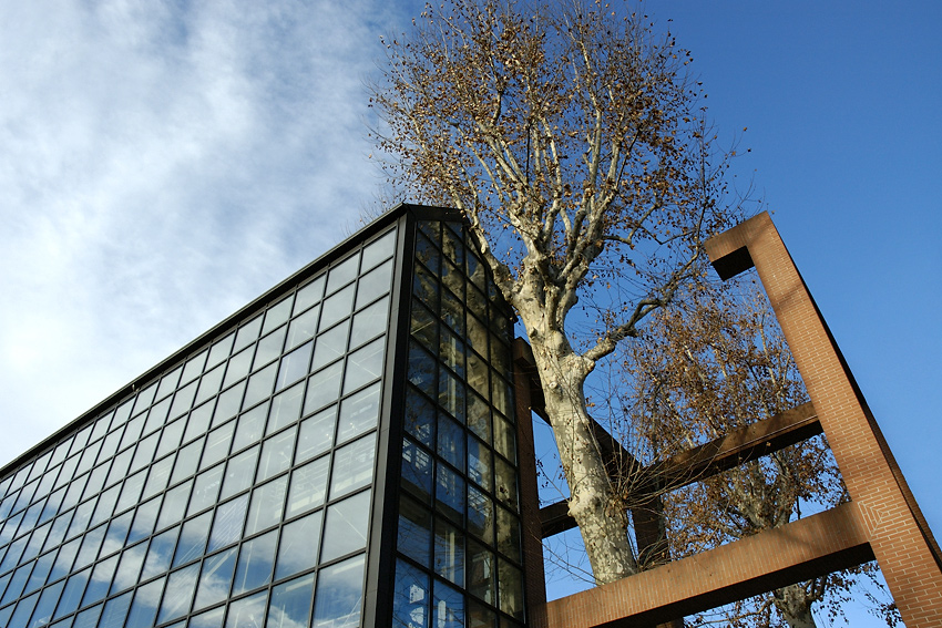 Torino, 03-01-07 (2)