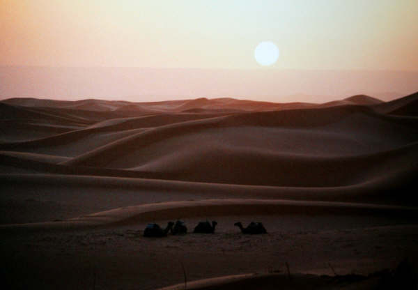 Desert.....