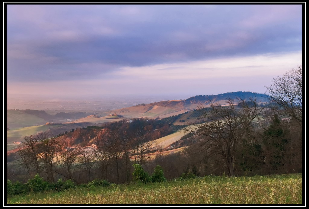 ...e da questa siepe...