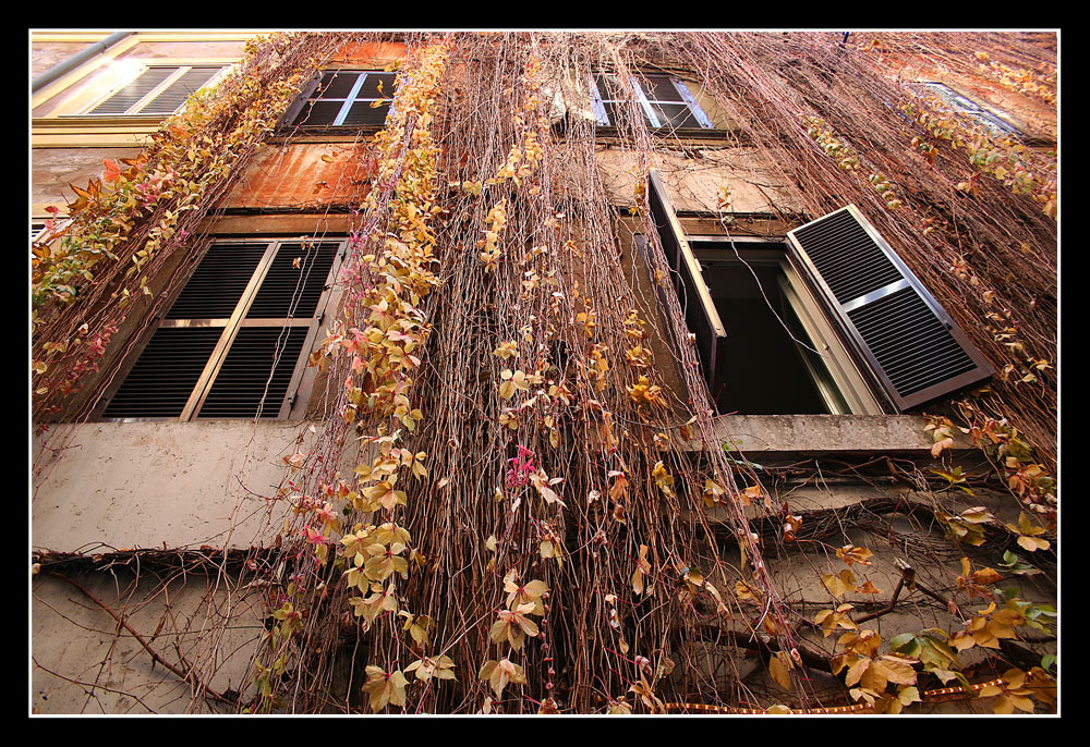 La finestra di fronte...