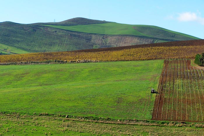 Andando per campi...