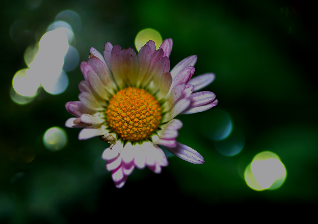 appoggiato su gocce di luce