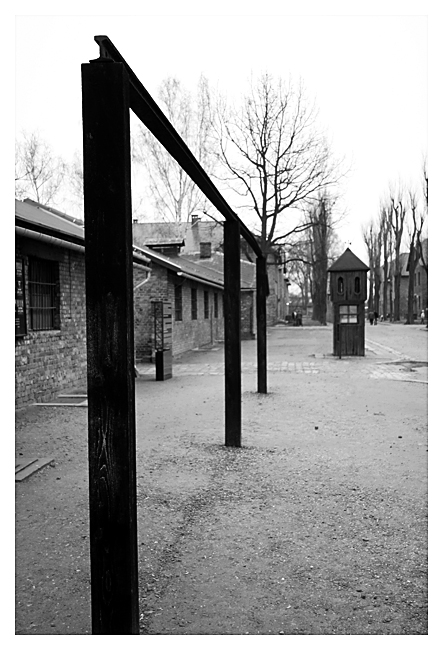 Auschwitz 5